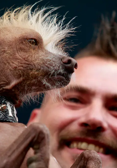 Kì lạ cuộc thi "Chú chó... xấu nhất thế giới"