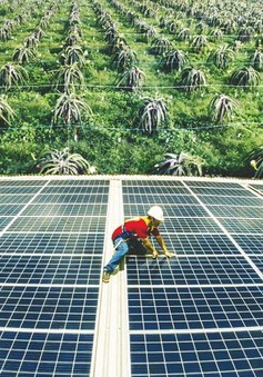 Kinh nghiệm quốc tế để thu hút nguồn vốn xanh tại Việt Nam