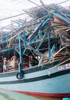 Cập nhật: Cứu thêm 2 người trong vụ chìm tàu ở Quảng Nam