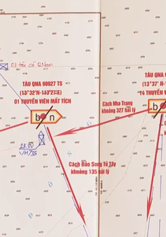 Phát hiện ngư lưới cụ trôi dạt ở vùng biển tàu cá Quảng Nam gặp nạn