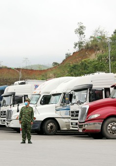 Lạng Sơn dừng nhận phương tiện chở hàng hóa vào bãi phi thuế quan
