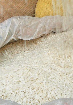 Giá gạo Ấn Độ giảm tuần thứ ba liên tiếp