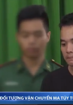 Bắt đối tượng vận chuyển ma túy từ Lào về Việt Nam