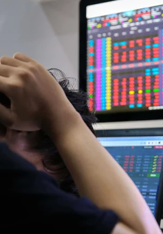 Cổ phiếu la liệt nằm sàn, VN-Index mất gần 50 điểm