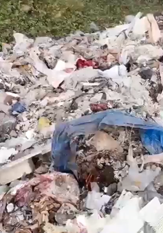 Đổ trộm rác thải công nghiệp gây ô nhiễm môi trường