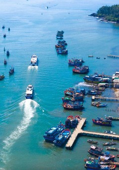 Quảng Ngãi: Phạt một chủ tàu cá vi phạm gần 900 triệu đồng