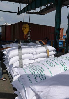 Indonesia mở thầu mua gạo, có 300.000 tấn từ Việt Nam, Thái Lan và Myanmar