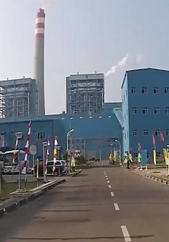 Indonesia đóng cửa các nhà máy nhiệt điện than