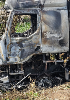Long An: Xe tải bốc cháy dữ dội, tài xế bị gãy chân khi nhảy thoát thân
