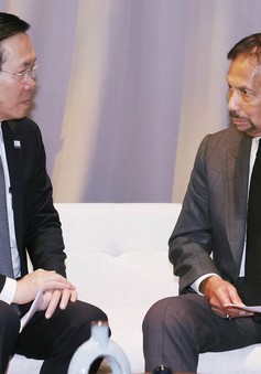 Chủ tịch nước Võ Văn Thưởng gặp Quốc vương Brunei nhân dịp dự Tuần lễ Cấp cao APEC 2023