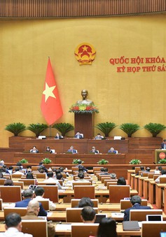 Ngày 22/11, Quốc hội thảo luận về công tác giải quyết khiếu nại, tố cáo