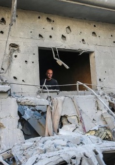 Người dân Dải Gaza trở về nhà để đánh giá thiệt hại