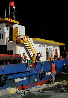 11 ngư dân được cứu khi tàu chở 1.500 tấn thép bị chìm ở biển Quảng Nam