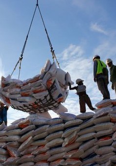 Indonesia ký hợp đồng nhập khẩu 1 triệu tấn gạo từ Việt Nam và 3 nước khác