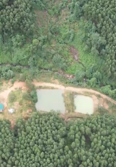 Quảng Bình: Dân lấn đất rừng chuyển đổi mục đích sử dụng
