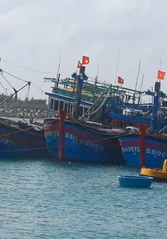 Hỗ trợ sửa chữa thành công tàu cá bị sự cố trên biển