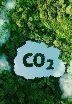 Việt Nam cần tận dụng thị trường tín chỉ carbon ra sao?