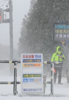 Giá rét bao trùm Hàn Quốc do sóng lạnh từ Bắc Cực