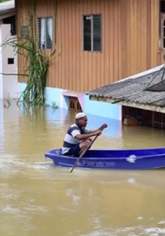 Mưa lớn gây lũ lụt nghiêm trọng tại miền Nam Thái Lan