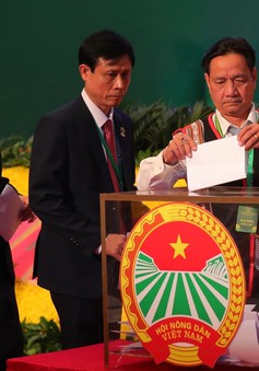 111 đồng chí trúng cử Ban Chấp hành Trung ương Hội Nông dân Việt Nam khoá VIII