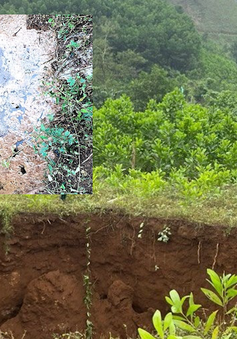 Quảng Nam: Xuất hiện hố sâu hơn 10 mét ở huyện Tiên Phước
