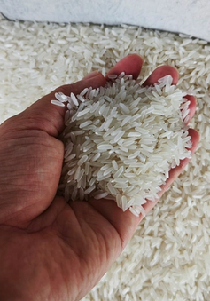 Xuất khẩu gạo đạt kỷ lục gần 4,8 tỷ USD