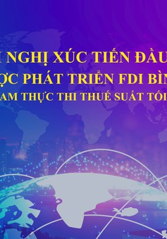 Xúc tiến đầu tư - Chiến lược thu hút FDI Bình Dương bối cảnh Việt Nam thực thi thuế suất tối thiểu toàn cầu