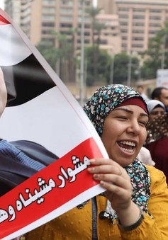 Ai Cập kêu gọi người dân tham gia bầu cử tổng thống