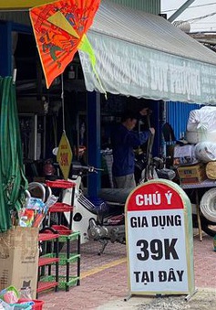 TP Hồ Chí Minh: Rà soát, xử lý biển quảng cáo "nhái" cột mốc, biển báo giao thông