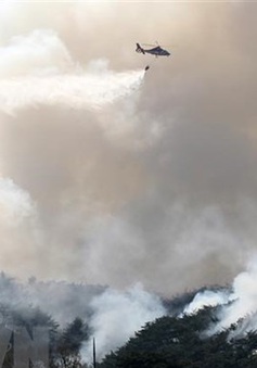 Hàn Quốc chỉ định vùng thảm họa đặc biệt do cháy rừng