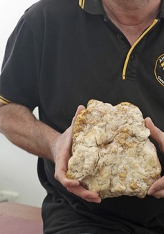 Một thợ đào vàng không chuyên phát hiện khối vàng khổng lồ 160.000 USD tại Úc
