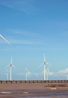 2 nhà máy điện gió được phê duyệt giá bán điện tạm thời