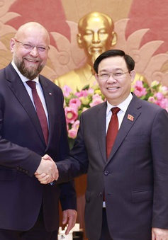 Việt Nam - Czech có thể tăng cường hơn nữa hợp tác về thương mại, đầu tư