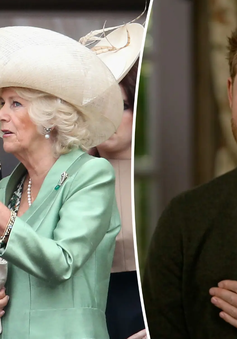 Vương hậu Camilla giận dữ vì Hoàng tử Harry "kể xấu" Hoàng gia Anh