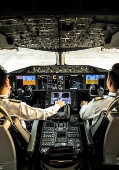 Tạm đình chỉ bay phi công Vietnam Airlines nghi dương tính với ketamine