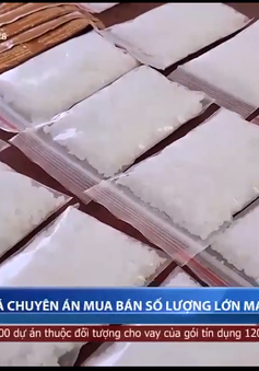 Đà Nẵng thu giữ số lượng ma túy lớn nhất trên địa bàn từ trước đến nay