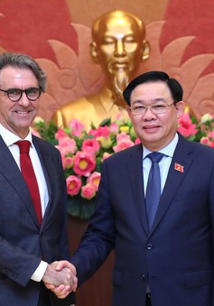 Việt Nam sẵn sàng hỗ trợ tăng cường sự hiện diện của EU tại khu vực
