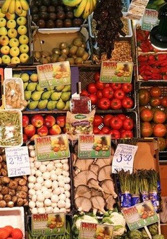 Hạn hán đẩy giá lương thực ở Tây Ban Nha tăng cao