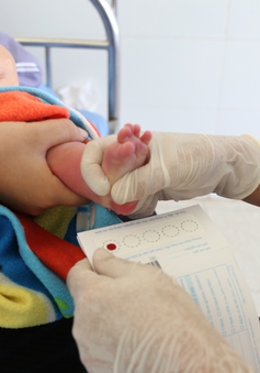 Lào Cai: Trên 6.000 trường hợp được khám sàng lọc trước sinh và sơ sinh