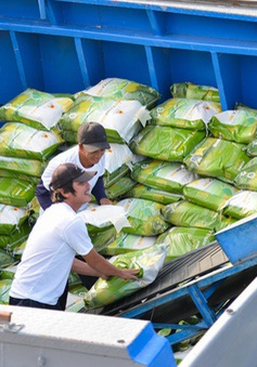 Xuất khẩu gạo tiếp tục đón "tin vui"
