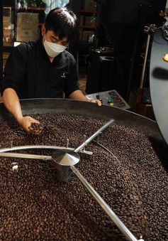 Thách thức ngành cà phê trước quy định mới của EU