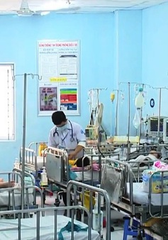 Số ca sốt xuất huyết ở Hà Nội, TP Hồ Chí Minh tăng, nguy cơ quá tải