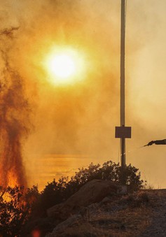 Cháy rừng bùng phát ở Hy Lạp, hàng nghìn người phải sơ tán