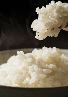 Việc “vo gạo” thực chất có tác dụng gì?