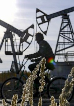Xuất khẩu dầu Nga qua đường biển giảm mạnh