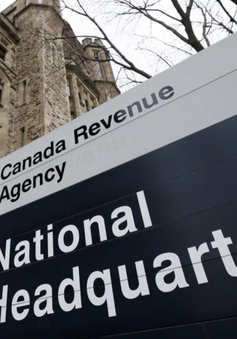 Cơ quan doanh thu của Canada điều tra nhân viên trục lợi trong đại dịch, sa thải 20 người
