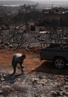 Cháy rừng ở Hy Lạp hoành hành trong ngày thứ 5 liên tiếp
