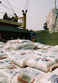 Ấn Độ cấm xuất khẩu gạo: Cơ hội cho gạo Việt tăng tốc