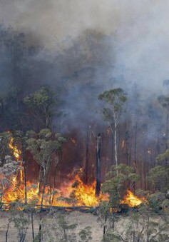 Máy lọc không khí giúp bảo vệ hàng triệu người Australia khỏi khói bụi cháy rừng