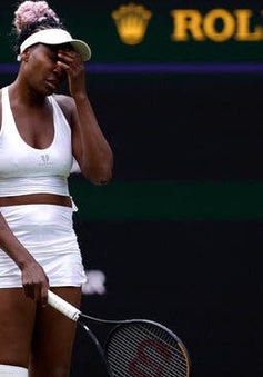 Venus Williams dừng bước ngay tại vòng 1 Wimbledon 2023